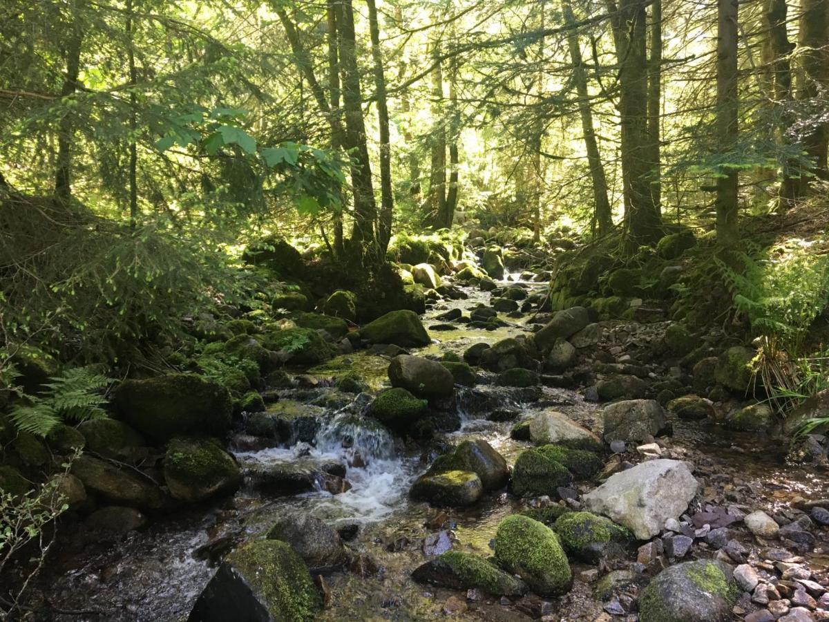Le Belvosgien Daire Gérardmer Dış mekan fotoğraf