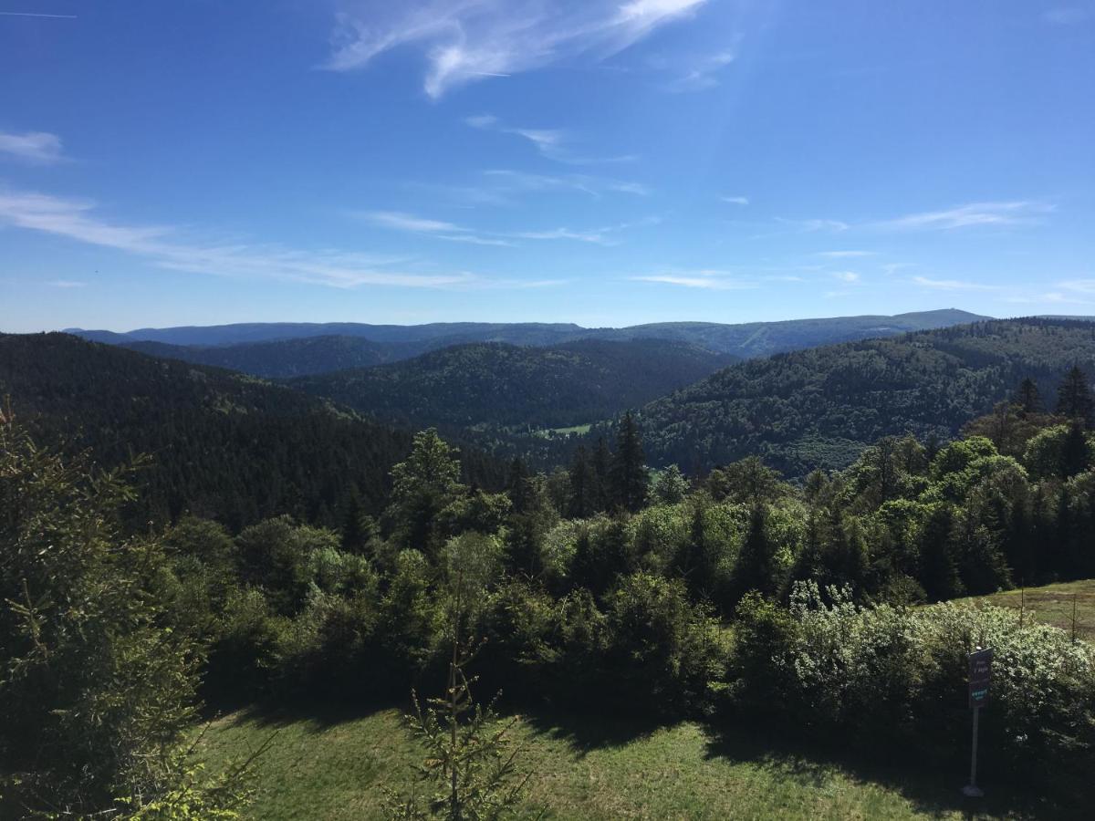 Le Belvosgien Daire Gérardmer Dış mekan fotoğraf
